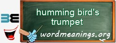 WordMeaning blackboard for humming bird's trumpet